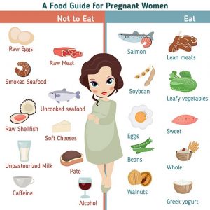 راهنمای تغذیه دوران بارداری
